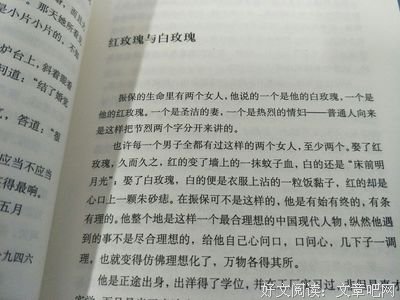 关于张爱玲的句子
