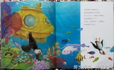 《浊鸟》的观后感10篇