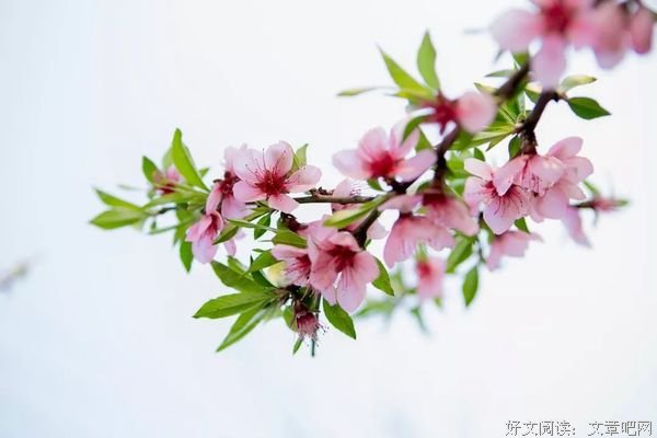 热爱生活的人，从不嫌麻烦 