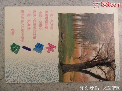 关于舒婷的语句