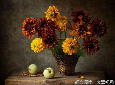 王八的句子