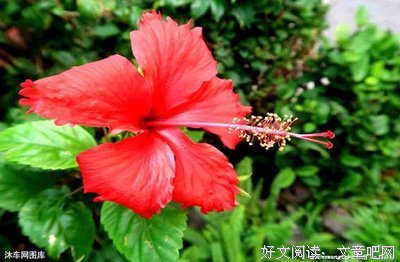 人间最苦的两个人
