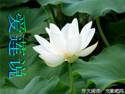最新的简蔓名言大全