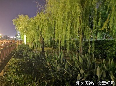 妻子，藏着一个家庭的福气！