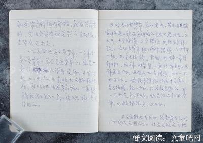 第年比得毛。经典的句子