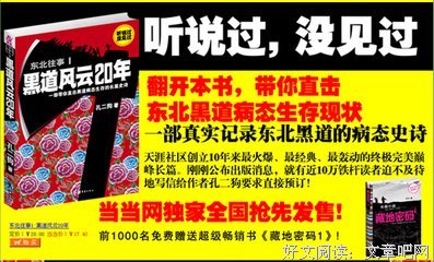 窃码风云经典读后感10篇