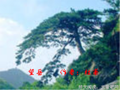 关于子美的语句