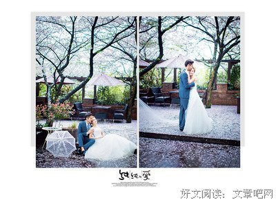 君倾的句子