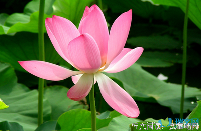 关于同一个于不失如便都（美句）——雨季的优美句子