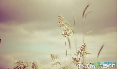 古风古韵句子