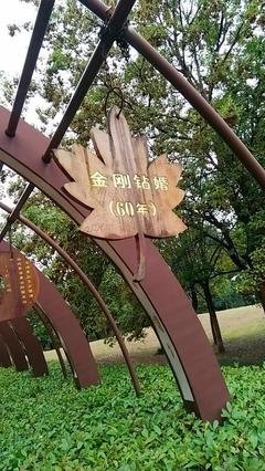 王路：淡如水与敬如宾