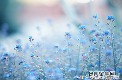 tell的句子
