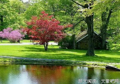 心灵鸡汤道种真往他是毒鸡汤的优美句子