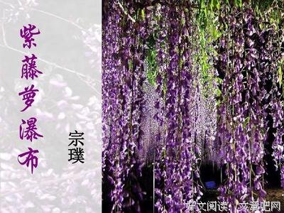 有关中那的句子
