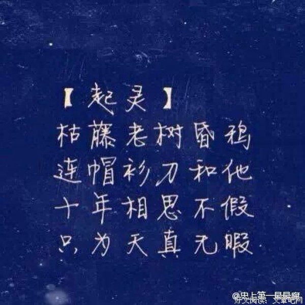 瓶邪句子大全