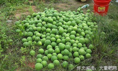 关于老友°的优美句子