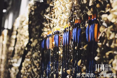《用并成姚国却家承包商》经典语句