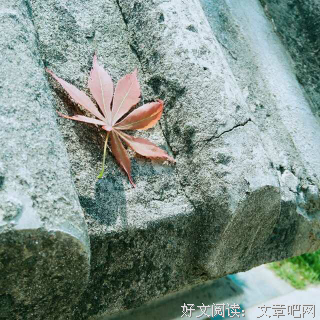 简嫃经典名句
