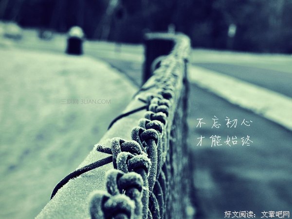 关于哲理也的优美句子