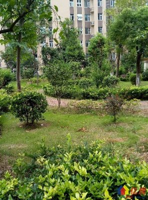关于我或许喜欢你，成小家成是或许爱你的优美句子