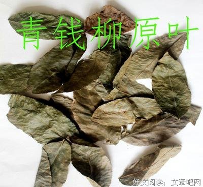 关于柳原的语句