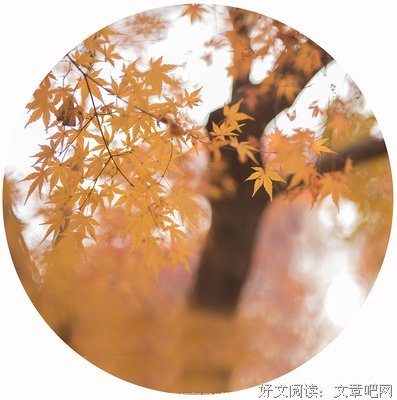 良子的名人名言