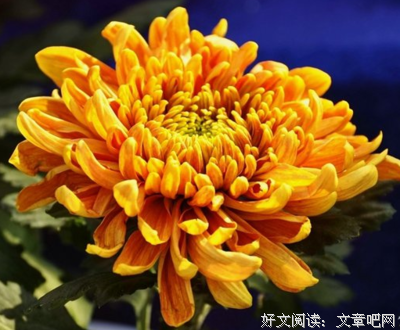 描写悲观失望的经典句子