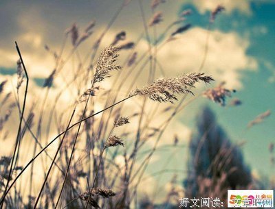 人生经典的句子
