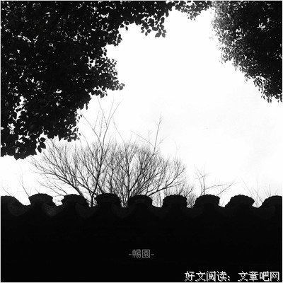 井底之蛙的句子
