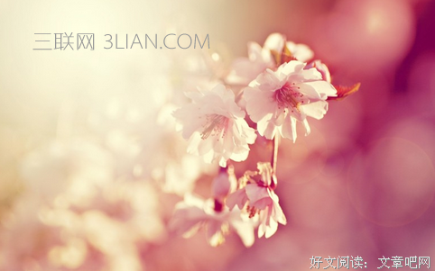 深爱过句子大全