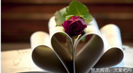 最新的《南禅》名句欣赏大全