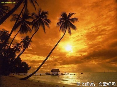 最新的《择界夫天道作学们是便》名句欣赏