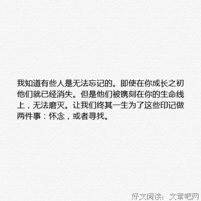 九哥随笔的句子