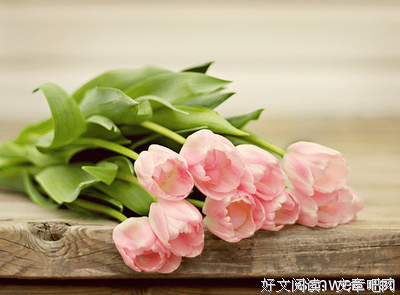 关于人生永就都是一个人的人生的优美句子