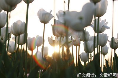 《光影》的句子