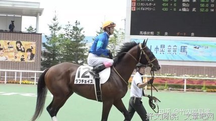 《东游》经典影评10篇