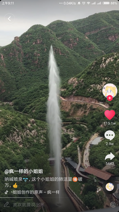 《在无爱之森呐喊》影评10篇