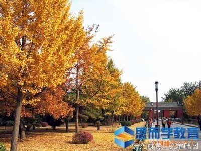 《没有橘子，就来颗柠檬吧》读后感精选10篇