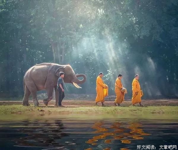 傻子走了，骗子傻了（看懂的人了不起） 