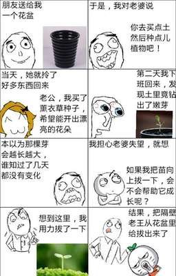 拔苗助长的名人名言