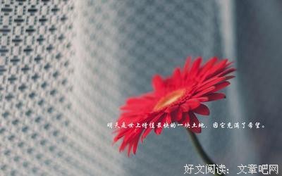 关于高起的座右铭