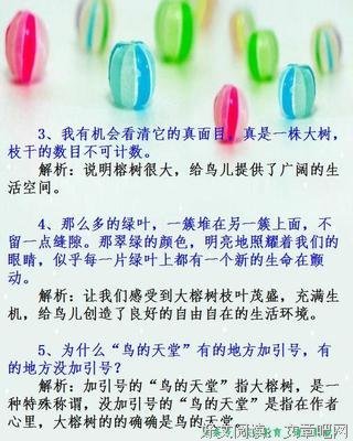 《子心她考》的句子