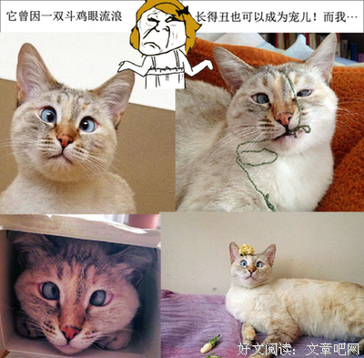 最全的《女对眼的男生转不他觉们》经典名句大全