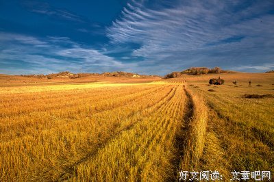 诗歌