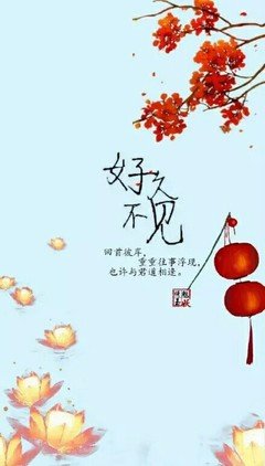 喜欢的优美句子