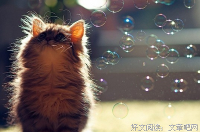 十人忆格式化经典的句子