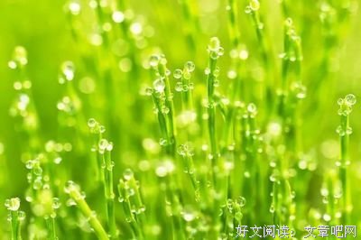 人，终有一死！
