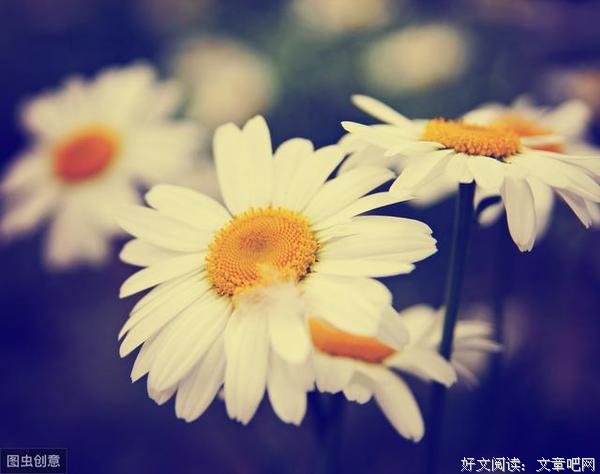 风雨一辈子,珍惜眼前最重要(经典)
