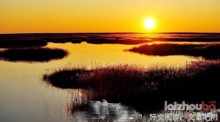 关于埋头苦干的格言