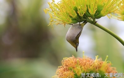 关于万石的名言